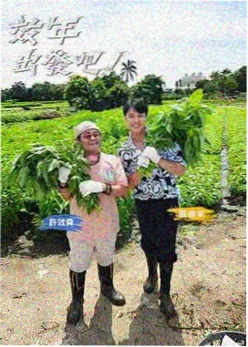 奔跑吧第十二季